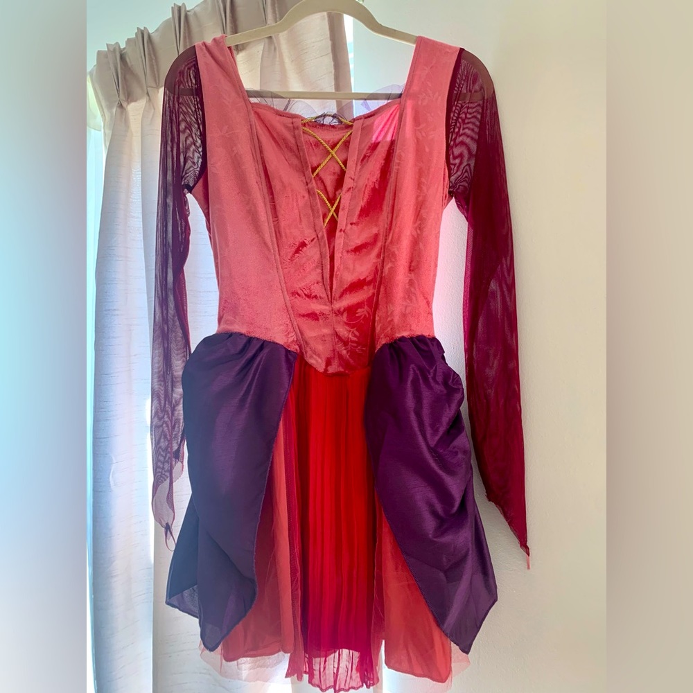 Sarah Sanderson Costume - Dress & Cape